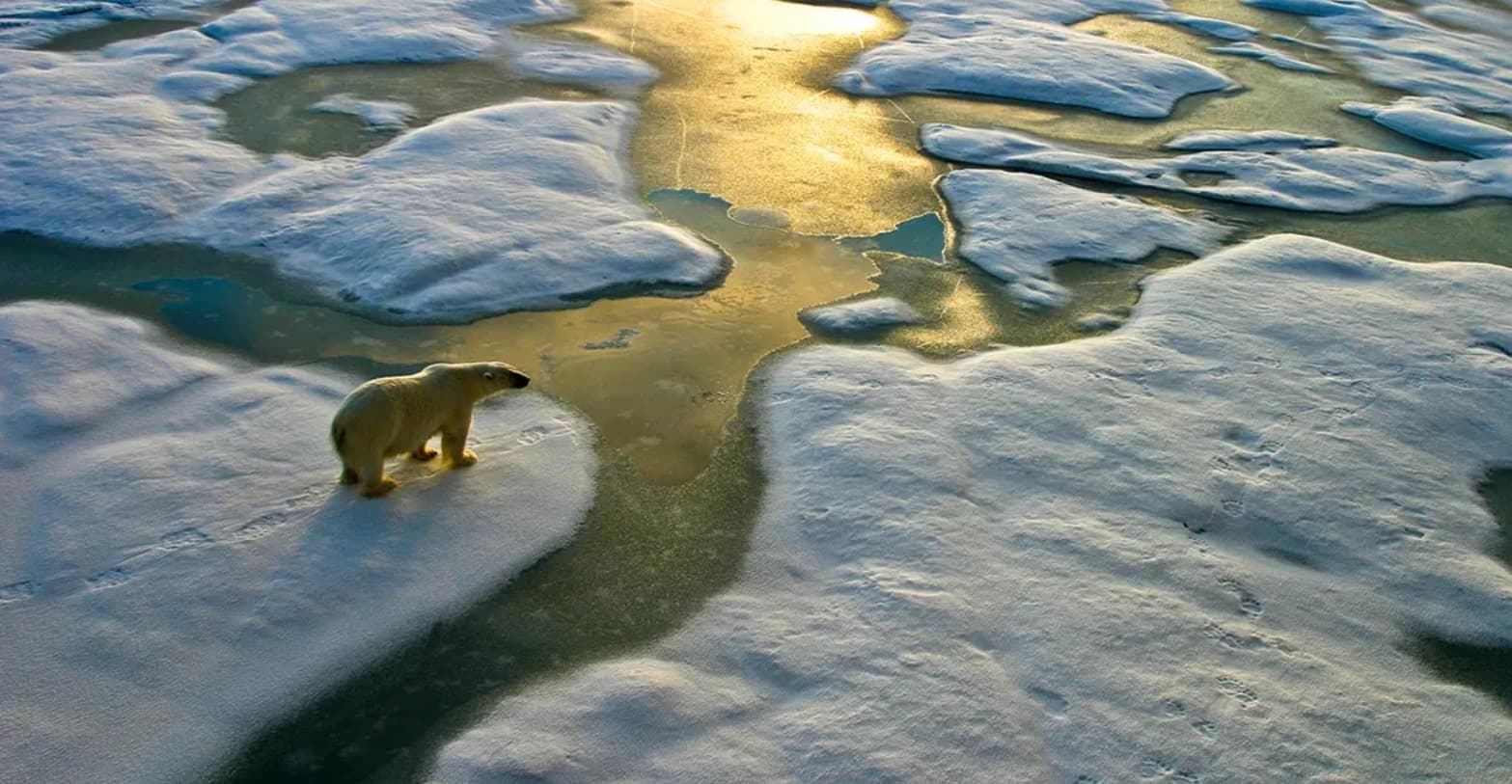 UN warns world will exceed 1.5°C warming limit