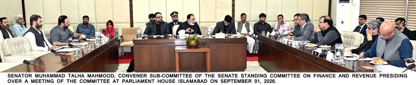Senate committee ask govt to renegotiate with IMF on EPZs &SEZs