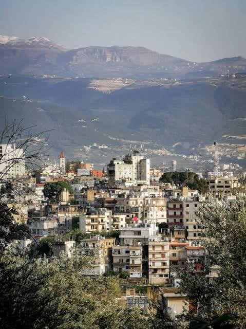 Lebanon accuses "Israel" of "Ecocide" and "Scorched earth" tactics in south